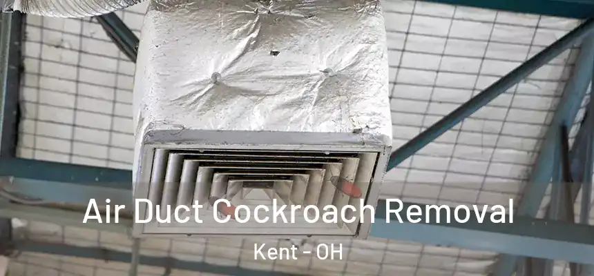 Air Duct Cockroach Removal Kent - OH