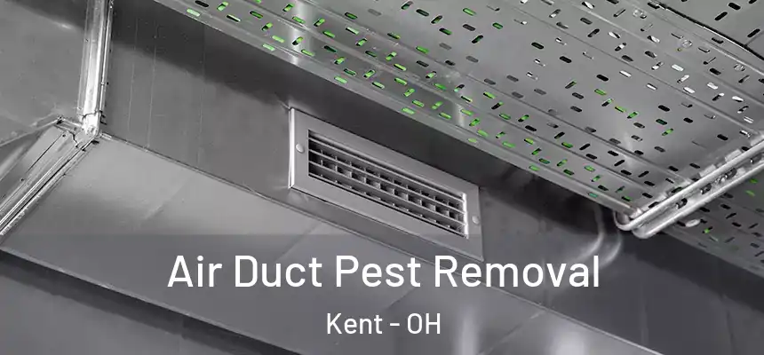  Air Duct Pest Removal Kent - OH