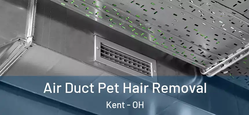 Air Duct Pet Hair Removal Kent - OH