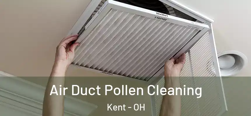 Air Duct Pollen Cleaning Kent - OH