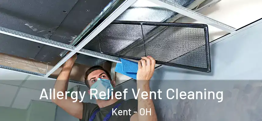 Allergy Relief Vent Cleaning Kent - OH