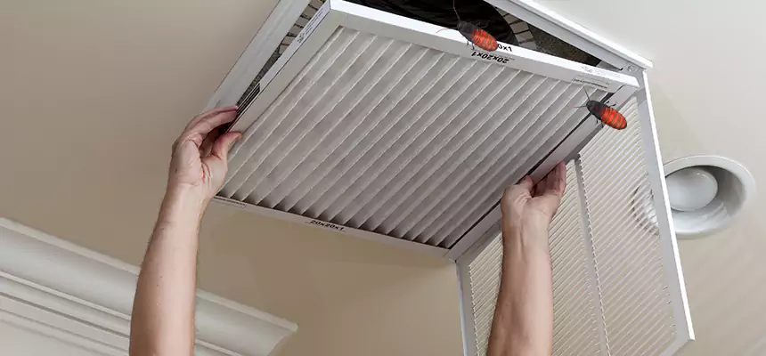 Our Insect Removal from Air Ducts Services in Kent, OH