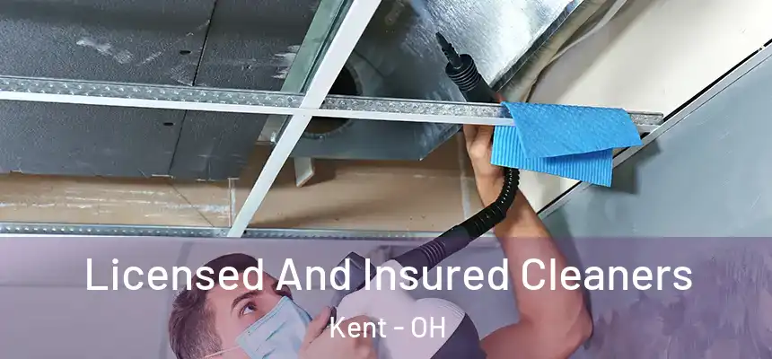 Licensed And Insured Cleaners Kent - OH
