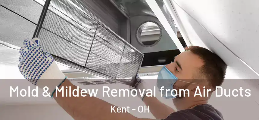 Mold & Mildew Removal from Air Ducts Kent - OH