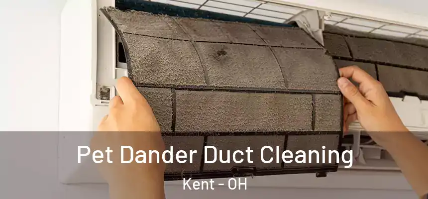  Pet Dander Duct Cleaning Kent - OH