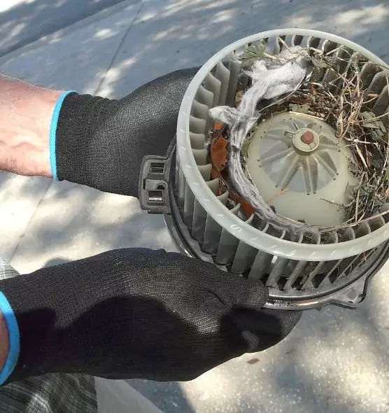 About Air Duct Rat Removal in Kent, OH