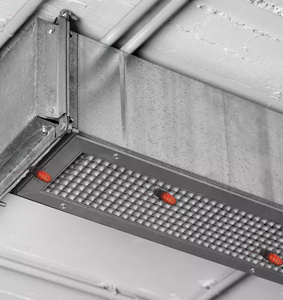 Affordable Insect Removal from Air Ducts in Kent, OH