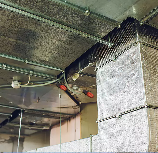 Why Homeowners & Businesses Trust Us in Kent, OH?