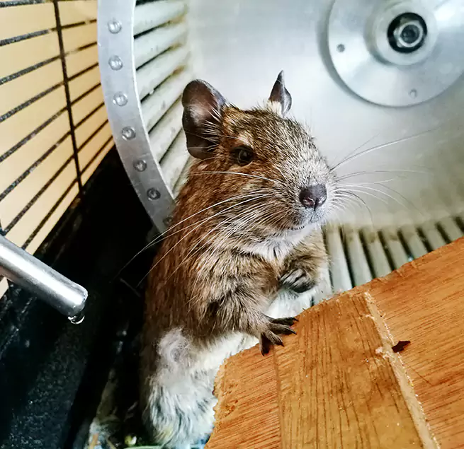 Why Homeowners & Businesses Trust Us Kent, OH?